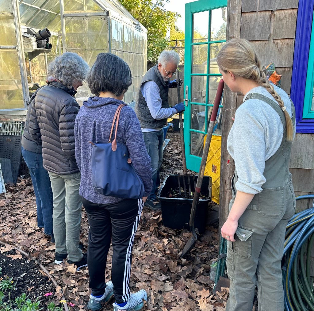 Coming Together in The Cannabis&nbsp;Garden